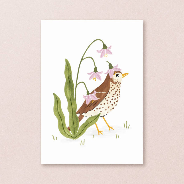 Postcard song thrush - Harman Shop & Atelier