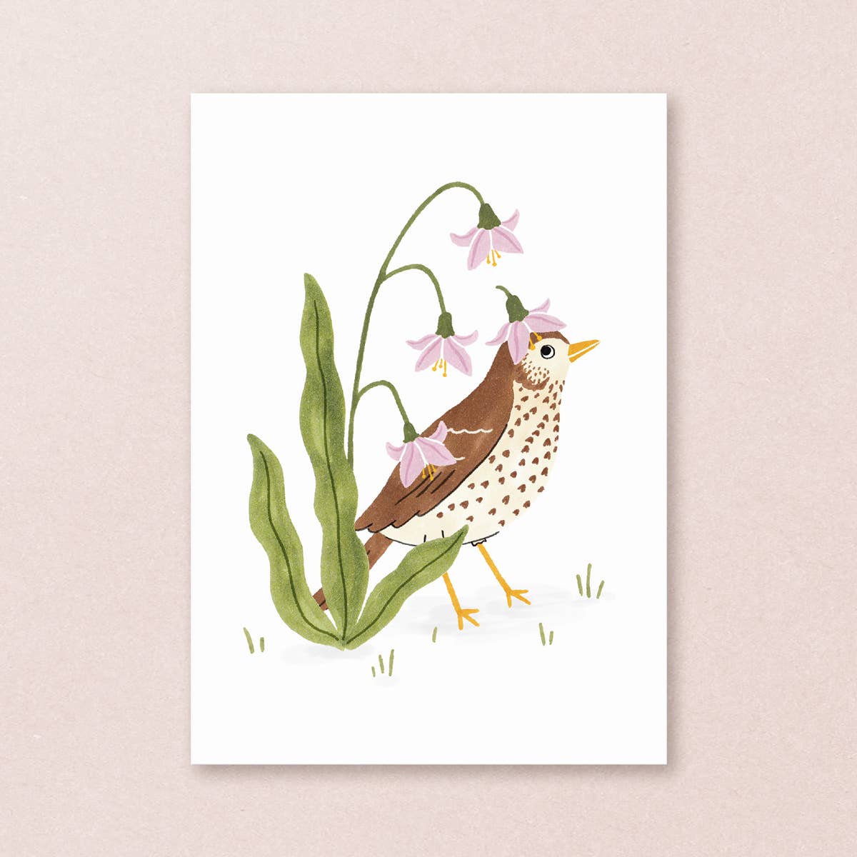 Postcard song thrush - Harman Shop & Atelier