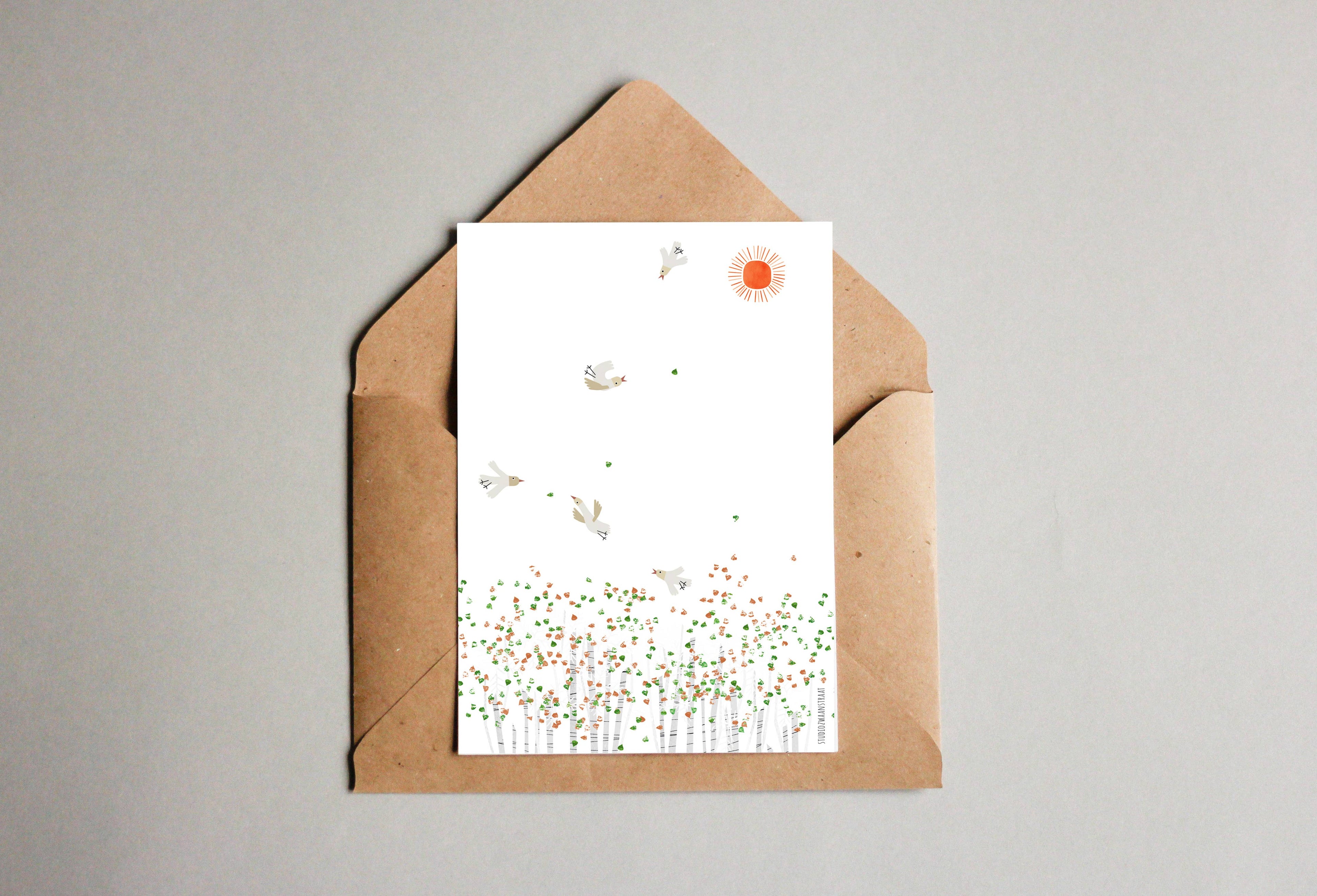 Postkaart - De lente hangt in de lucht