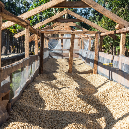 Coffee Beans - Kenya - Ngandu AA - 250g - Filter Roast - Harman Shop & Atelier