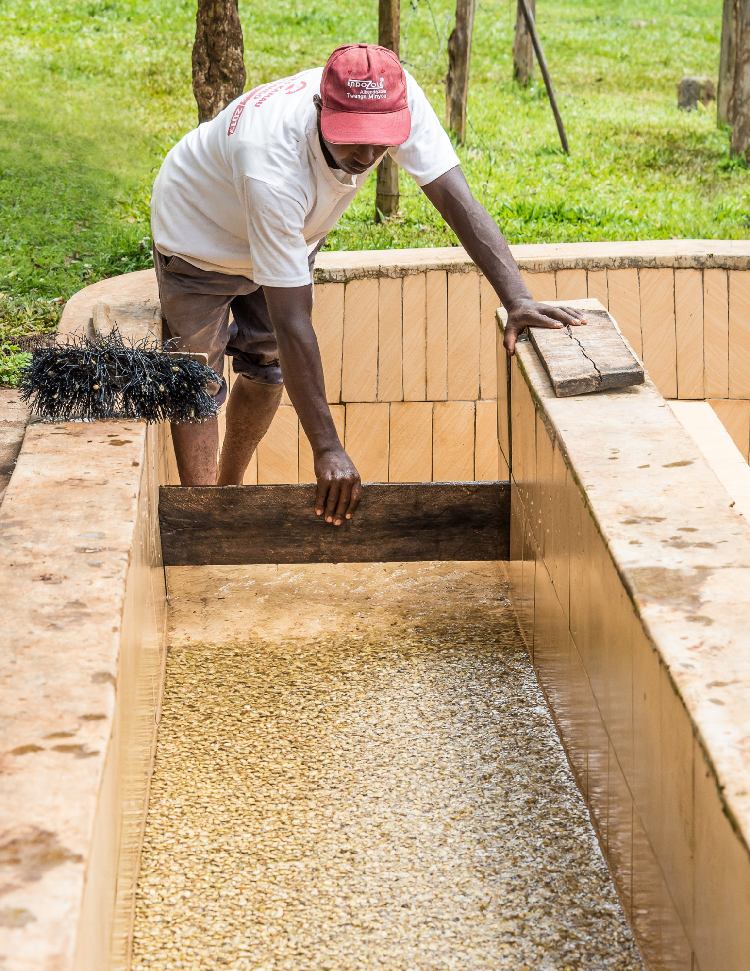 Koffiebonen - Kenia - Ngandu AA - 250G - Filter Roast