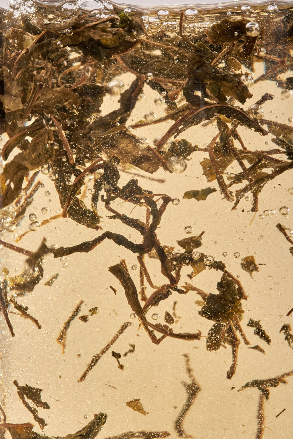 Nordic Black Tea - Decaf - 25 biologisch afbreekbare theezakjes