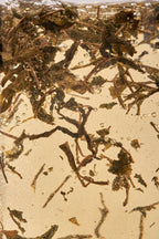 Nordic Black Tea - Decaf - 25 biologisch afbreekbare theezakjes