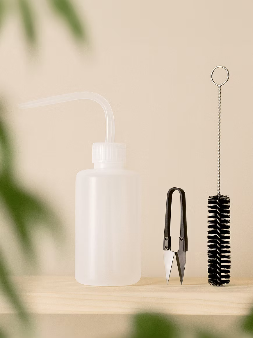 Walleaf Accessories - Harman Shop & Atelier