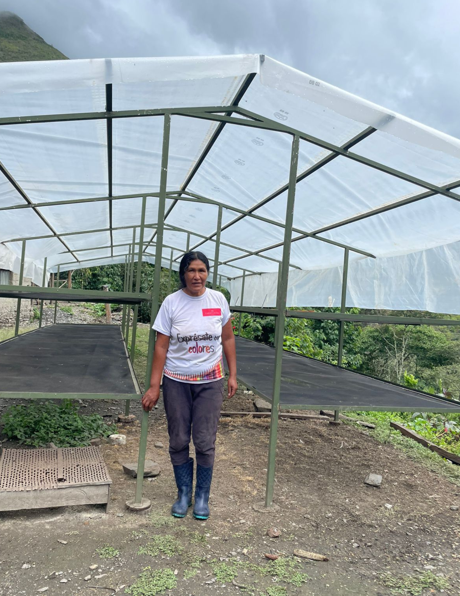 Koffiebonen - Peru - Yolanda Cabrera - 250G - Espresso Roast