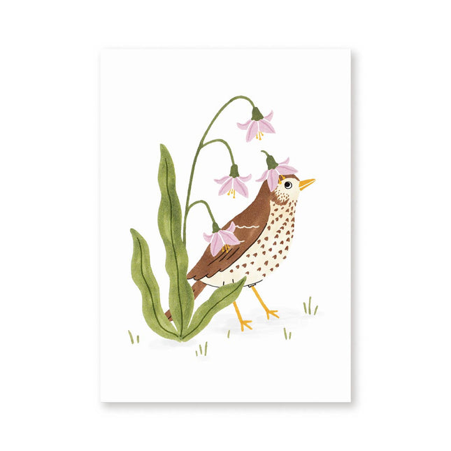 Postcard song thrush - Harman Shop & Atelier