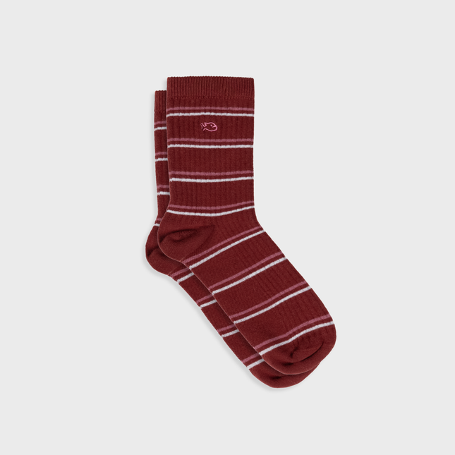 Cotton Socks - Burgundy Striped - One size: 36/41