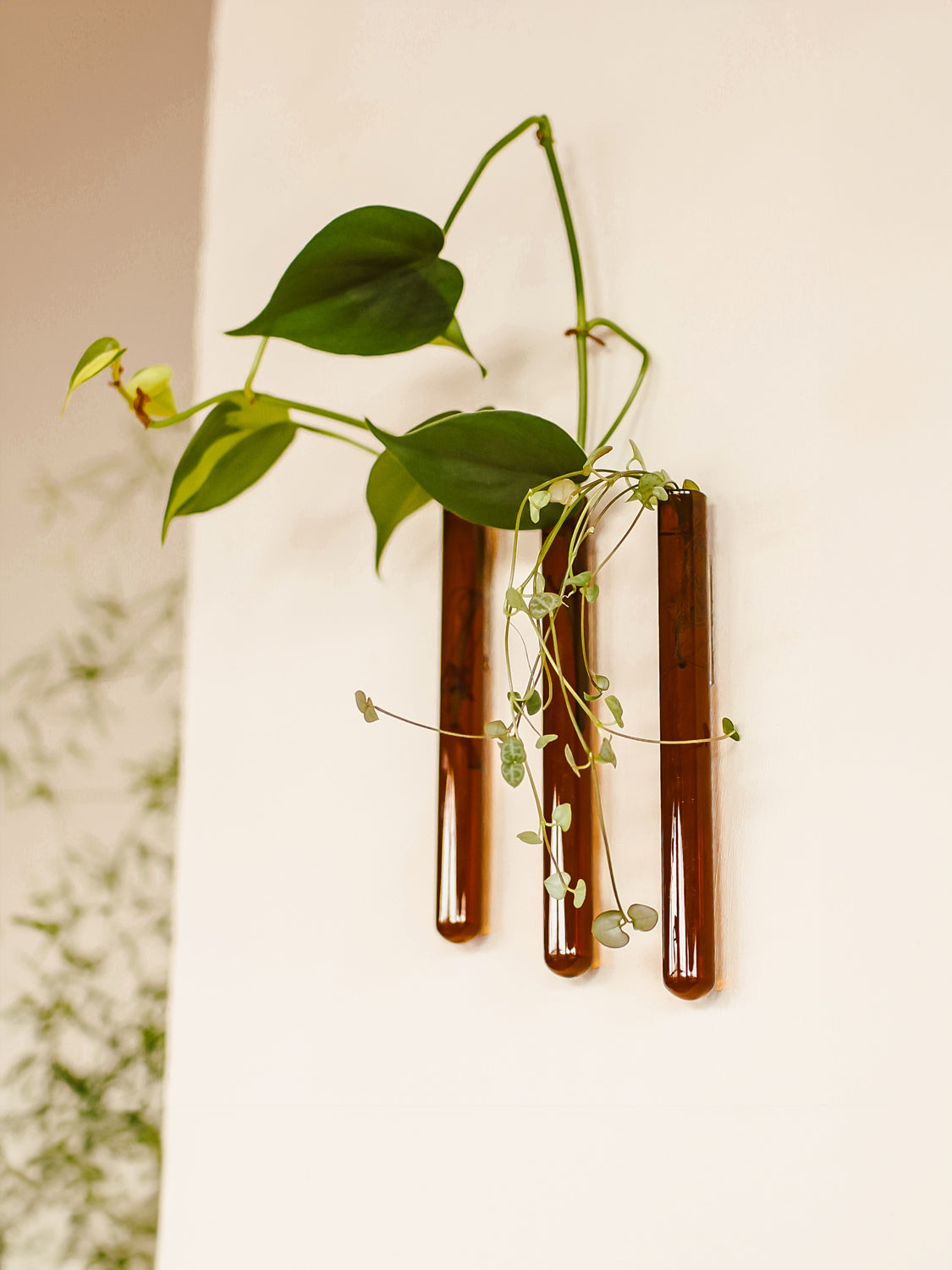 Housewarming Gift - Home Sweet Home - Harman Shop & Atelier