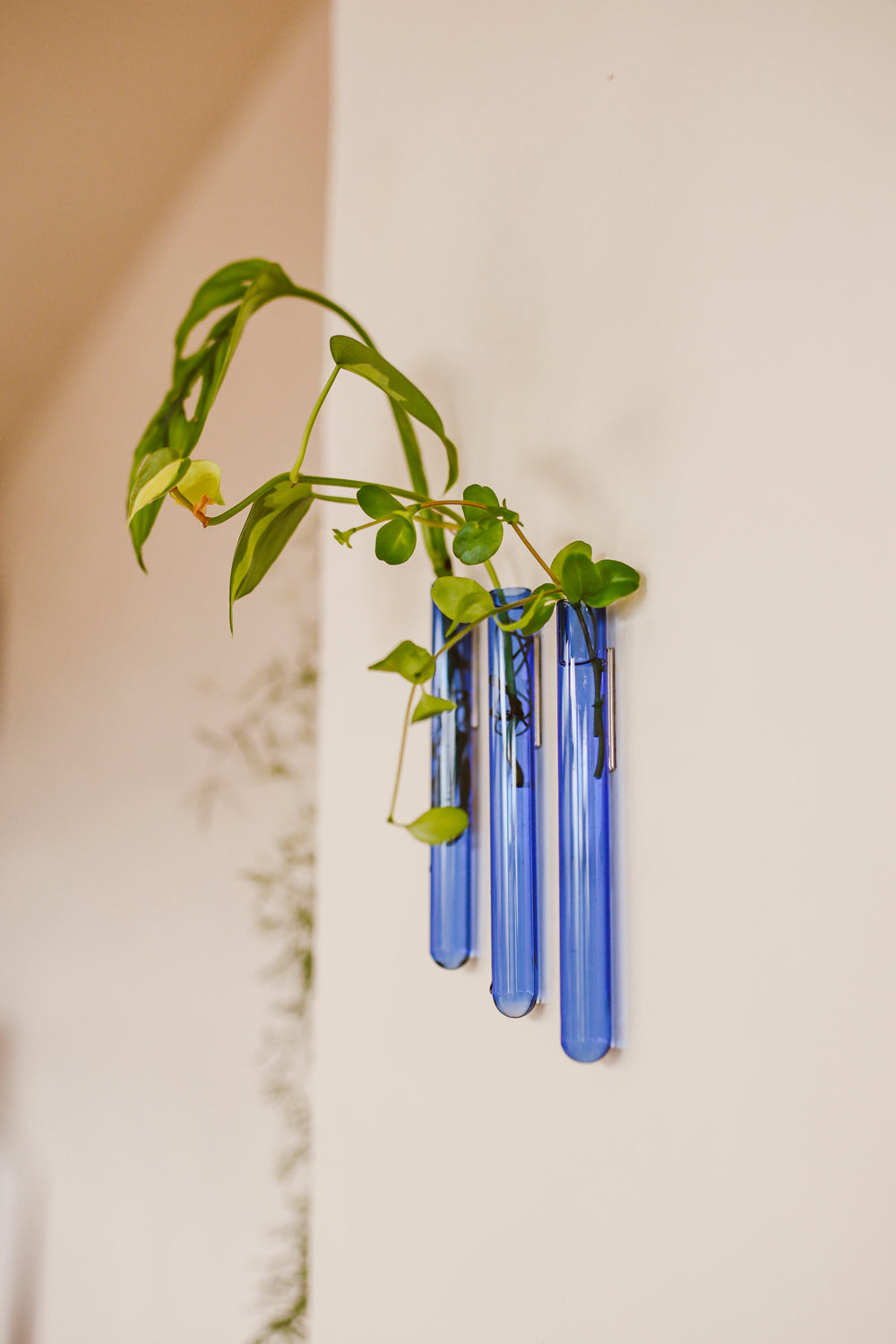 Walleaf 3-pack - Harman Shop & Atelier