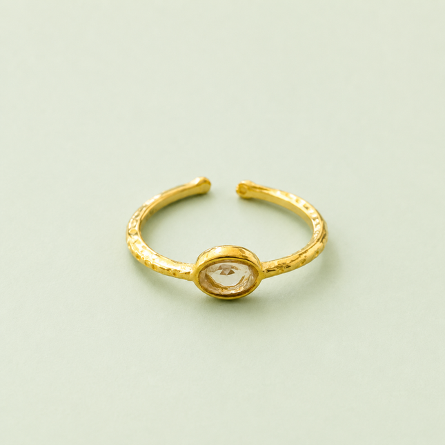 Mula Stainless Steel Ring