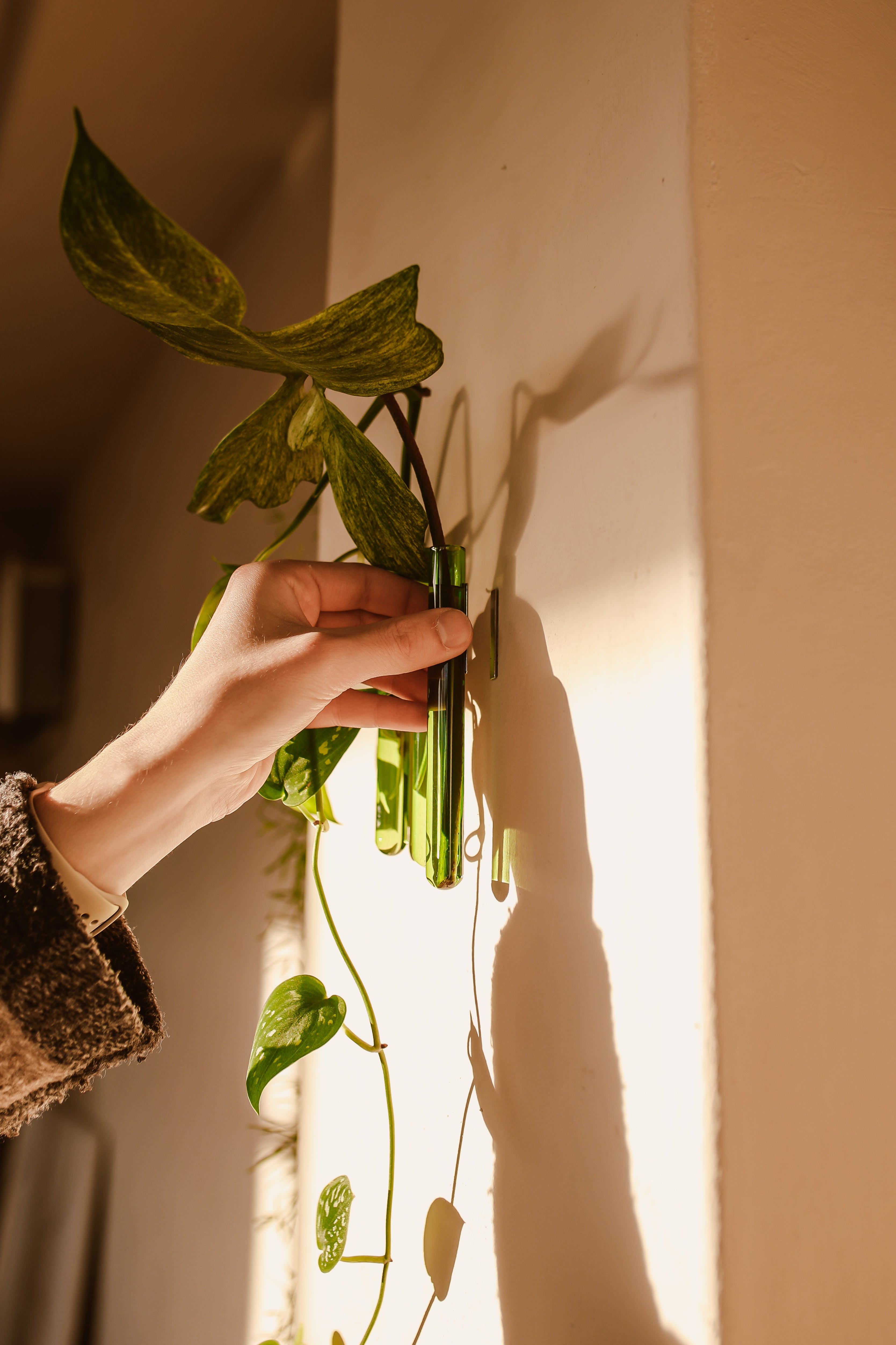 Walleaf 3-pack - Harman Shop & Atelier