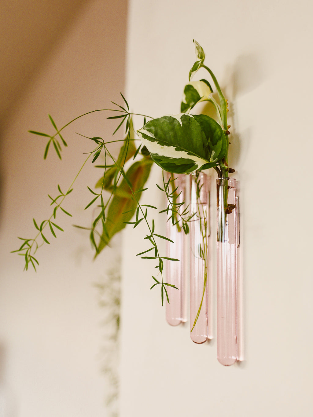 Walleaf 3-pack - Harman Shop & Atelier