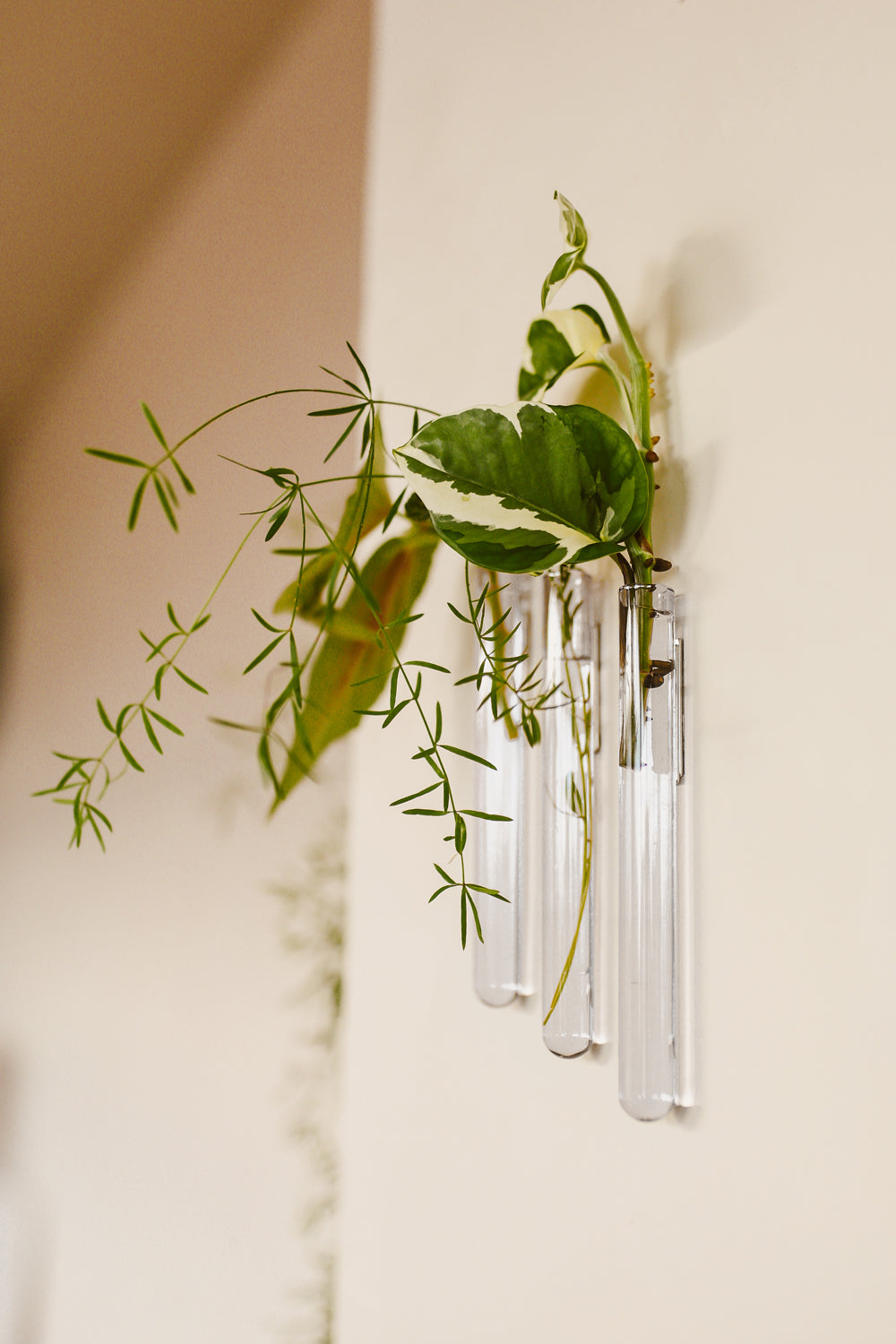 Walleaf 3-pack - Harman Shop & Atelier