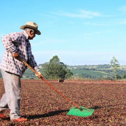 Coffee Beans - Brazil - Bela Época - 250g - Espresso Roast - Harman Shop & Atelier