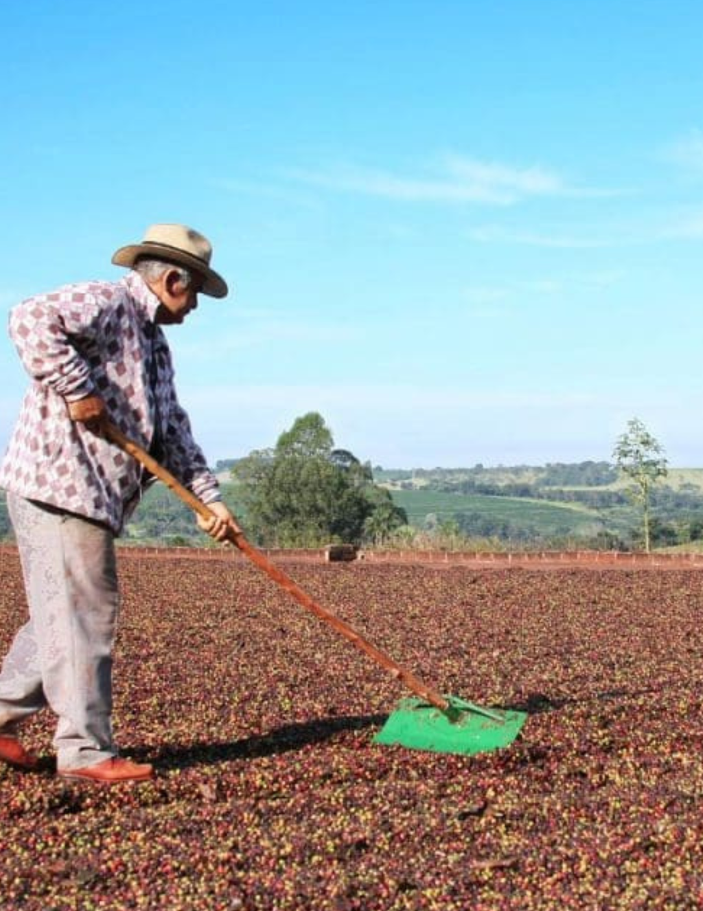 Koffiebonen - Brazilië - Bela Época - 250G - Espresso Roast