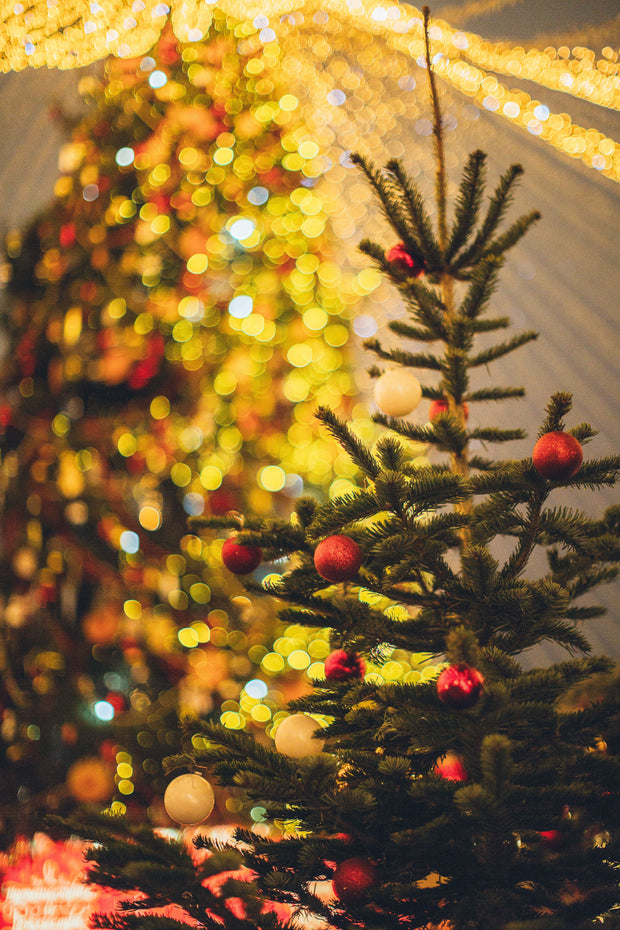 <h2>Uniek & Handgemaakt Kerstcadeau</h2>