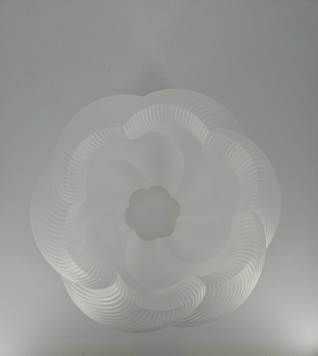 Coast Fig - Pendant Lamp - Wavy Shell