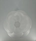 Coast Fig - Pendant Lamp - Wavy Shell