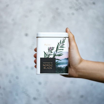Nordic Black Tea - Decaf - 25 Biodegradable Tea Bags - Harman Shop & Atelier