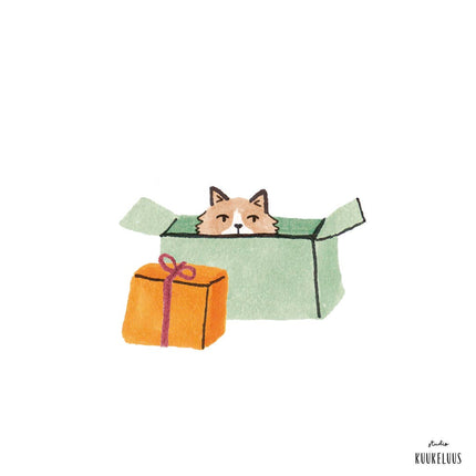 Christmas Card - Cosy Cat in Box