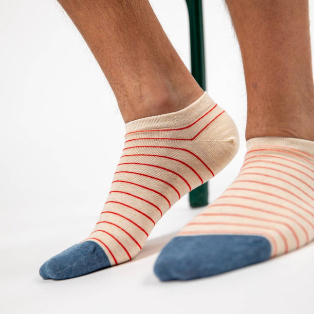 Cotton Ankle Socks - Striped - One size: 41/46