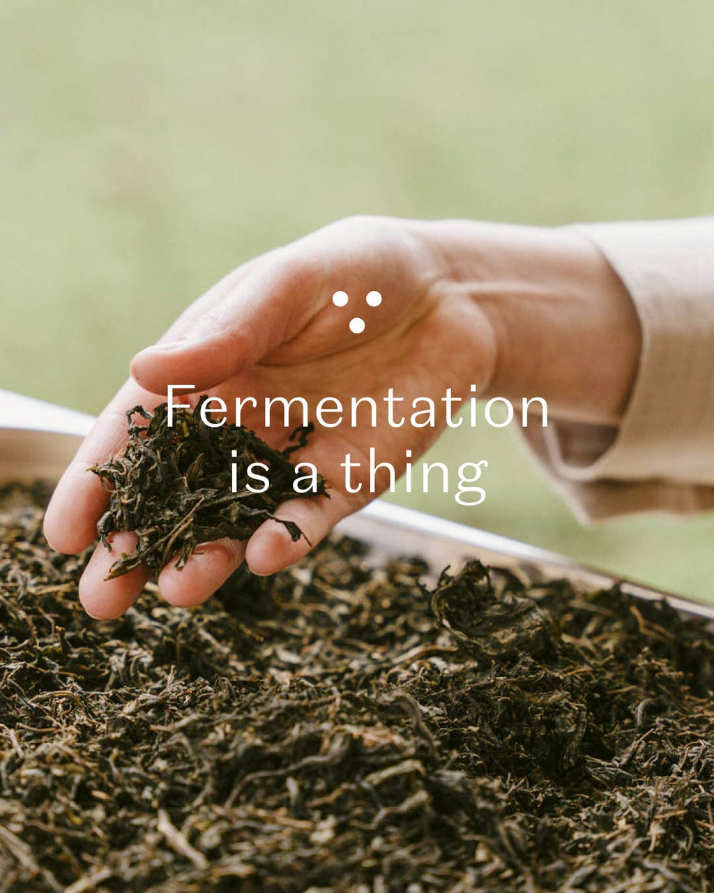 Nordic Black Tea - Decaf - 25 biologisch afbreekbare theezakjes