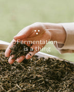 Nordic Black Tea - Decaf - 25 biologisch afbreekbare theezakjes