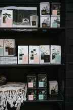 Nordic Green Tea - Decaf - 25 biologisch afbreekbare theezakjes