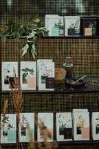 Nordic Green Tea - Decaf - 25 biologisch afbreekbare theezakjes