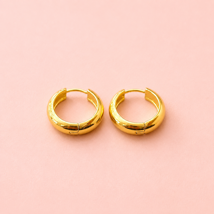 Nikki Stainless Steel Hoop Earrings 