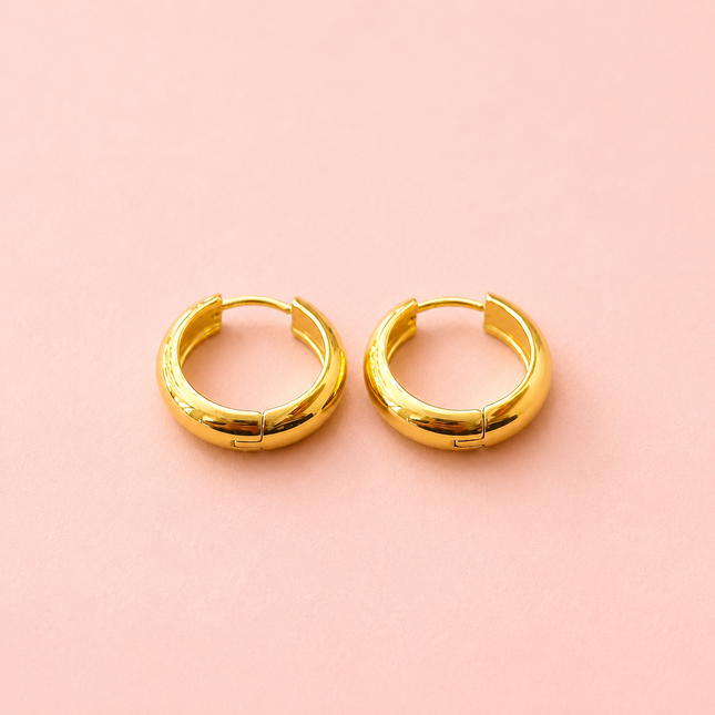 Stainless Steel Earrings - Nikki