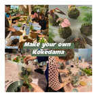 Make your own Kokedama Workshop