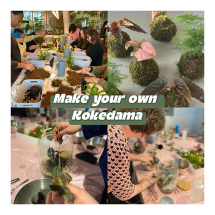Gather & Make in the Garden at Koningshof Utrecht - 5th of July / 1:00pm-4:00pm